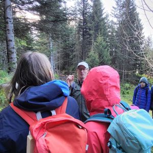 Waldtag (37)