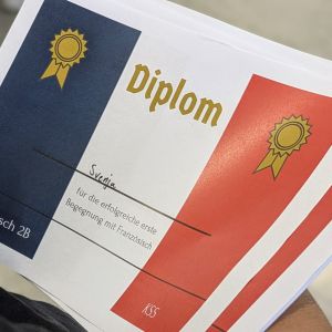 16_Diplom
