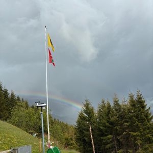 Bergvogel (15)