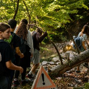 Bild8_Waldtag1c